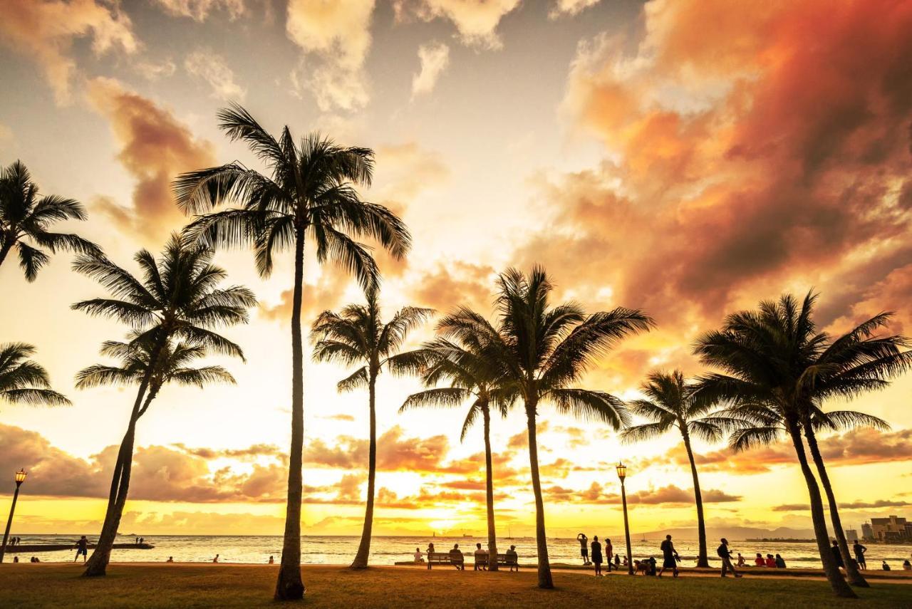 Hawaiian Monarch 916 Apartamento